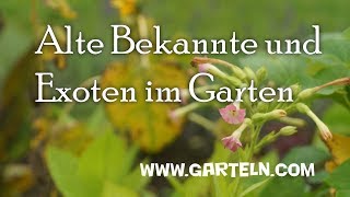 Alte Bekannte und Exoten aus der neuen Welt im Garten im Stift Kremsmünster