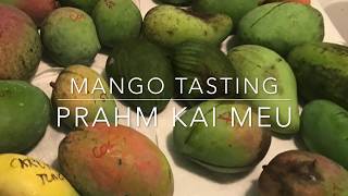 Brahm Kai Meu Thai Mango - Tasting Florida Grown Mangos