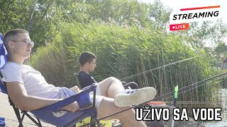 🔴DOK CEKAMO SOMA PECAMO BELICU🔴 | Uzivo Sa Vode