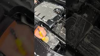 Asmr engine bay detailing #cleaning #asmr #detailing