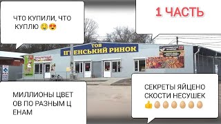 СКРЫТАЯ КАМЕРА ДНЕПР РЫНОК ИГРЕНЬ, УЛИЦА ЗООПАРКОВАЯ