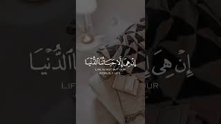 😍❤️Quran Recitation ❤️Really Beautiful Amazing Crying and Emotional #shorts #quran #trending #viral😍