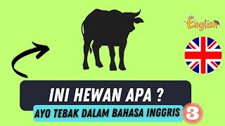 BERMAIN TEBAK GAMBAR SILUET/BAYANGAN HEWAN BAHASA INGGRIS UNTUK ANAK-ANAK SERI 3! GUESS ANIMAL