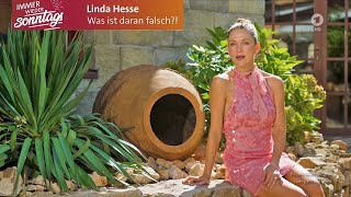 Linda Hesse - Was ist daran falsch?! - | IWS, 08.09.2024