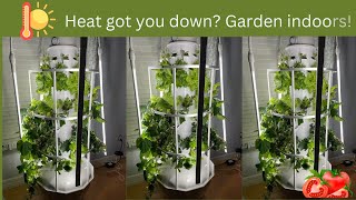 Heat got  you down? Grow indoors year round!