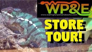 REPTILE SHOP TOUR - Warrington Pets and Exotics