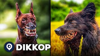 15 Dog Breeds Banned For Being Too Dangerous!