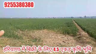 ये जमीन बिक्री के लिए | Land for sale Haryana | 9255380380 | #agriculture