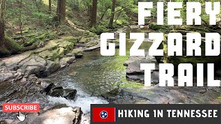 Hiking in Tennessee|Fiery Gizzard Trail