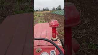 Massey Ferguson 135 #farmequipment #agromachine #masseyfurguson