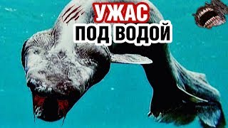 РАЗРУШИТЕЛИ МИФОВ - Морские монстры. Документальные фильмы, детективы HD