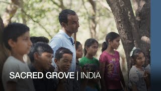 Sacred Grove | India