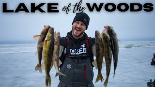 Lake of the Woods Ice Conditions & Fishing Report (CRAZY Action) - Locations, Presentations, & Tips