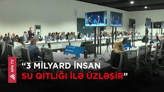 COP29 çərçivəsində ilk dəfə olaraq Su üzrə İqlim Fəaliyyəti Bəyannaməsi qəbul edilib -APA TV