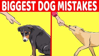 15 Terrible Mistakes Dog Owners Make