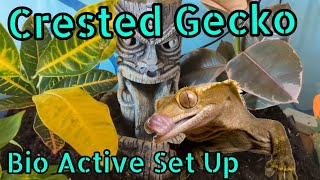 CRESTED GECKO gets a bio Active upgrade!