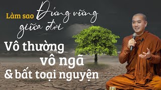 Thầy Minh Niệm - LÀM SAO ĐỨNG VỮNG GIỮA ĐỜI VÔ THƯỜNG, VÔ NGÃ VÀ BẤT TOẠI NGUYỆN