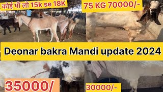 Deonar bakra Mandi update 2024 || new update Deonar mandi