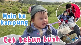 SIAP-SIAP MAU PANEN BUAH NIH, BEYZA HAPPY BANGET DI KAMPUNG TURKI