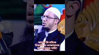 আমরা কি নবিকে বিশ্বনবি  ও দোজাহানের বাদশা বলতে পারি?