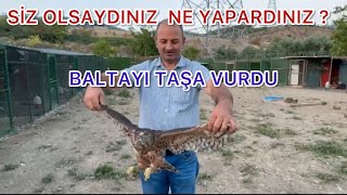 GÜVERCİN SALMALIĞINA BAKIN NE DALDI