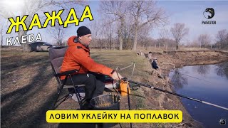 Ловим уклейку на поплавок // Жажда клева // Выпуск 1