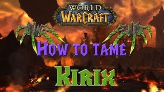 Wow - How to tame Kirix (Rare spider pet) - Solo Hunter Guide!