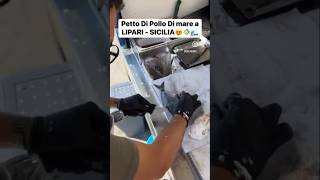 Tre Occhiate fresche  per 10€ a solo a LIPARI!! 😍🐠 #shorts  #fishing  #subscribe