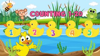 Counting 1 to 20 with Little Ducks | Fun Duck Counting Song for Kids