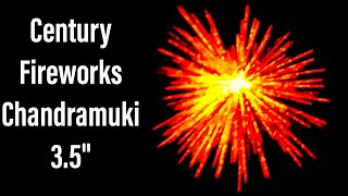 Chandramuki 3.5" shell from Century Fireworks-1st on Youtube-Palm Tree Effect😱-Testing!-Must watch🎆🎇