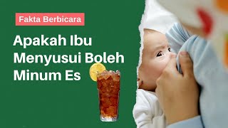 Apakah Ibu Menyusui Boleh Minum Es, Fakta Berbicara