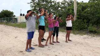 Introducing Birding to Las Coloradas, Mexico