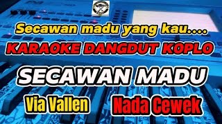 KARAOKE - SECAWAN MADU VIA VALLEN VERSI DANGDUT KOPLO (NADA CEWEK)