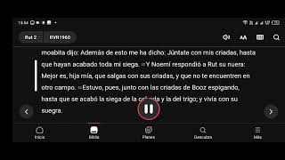 Sagradas Escrituras Biblia Libro#8 De Rut 4 Capitulos