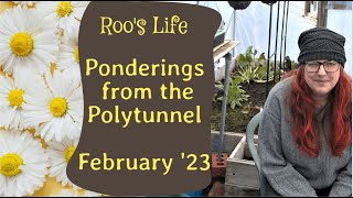 Ponderings from The Polytunnel February