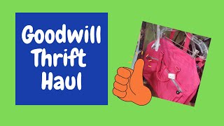 Goodwill Thrift Haul | 10 Minutes of Great Items to Resell | Purses | Shoes | 90s Fashion Reseller