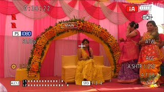 haldi live