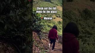 Check out the full video for this amazing place in munnar Kerala #travelkerala #munnarteagarden