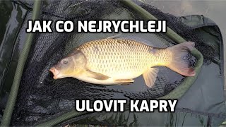 Krátká vycházka na kapry. Jak mít rychle jízdu?  Lov kapra. Rybářská středa 1 díl