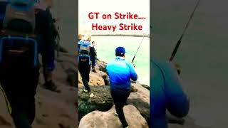 heavy strike #fishing #fishingdude #fishinglife #kingfish  #fish #gonefishing