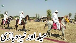 Maila aor Neza Bazi || Village horse Maila