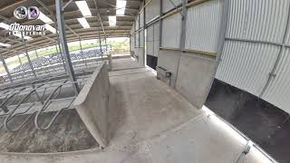 15 BAY CUBICLE SHED WITH CALVING AREA