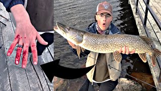 Dad Catches A HUGE PIKE! (Spring Fishing)