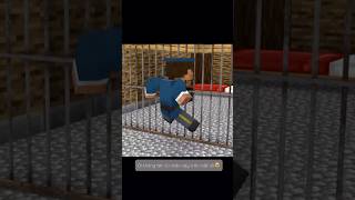 Steve Police Catch The Prisoner Who Escaped👍#minecraft #gameplay