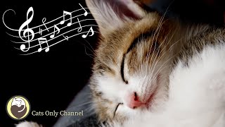 Cat Music - Music for Relaxation and Sleep / Cat Purring Sounds & Music Box Sounds