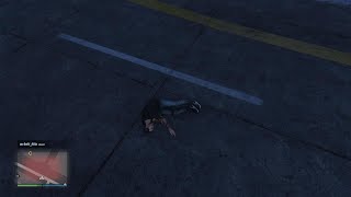 Grand Theft Auto V passenger stunt