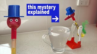 The Dunking Drinking Bird // explaining the science