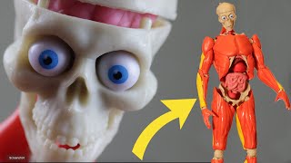 Interactive Human Body Full Product Review for all Educators!