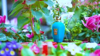 Erba Pura by Xerjoff Perfume