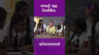 පාසල් තුළ වෘත්තීය අධ්‍යාපනයක්